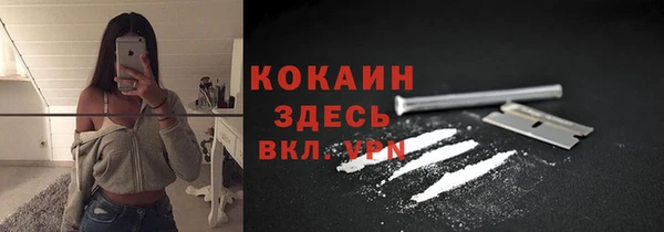МДПВ Нея