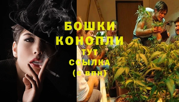 не бодяженный Новозыбков
