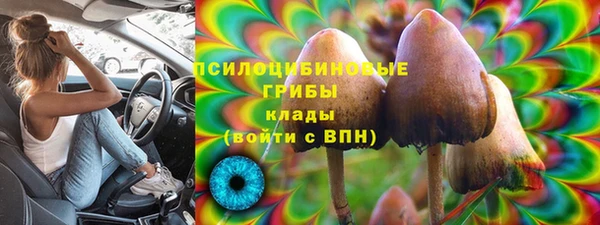 МДПВ Нея